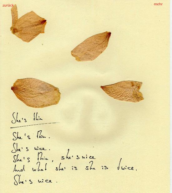 shesthin001