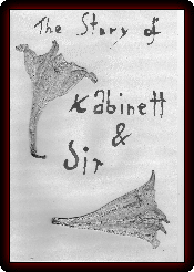 thestoryofkabinettSW
